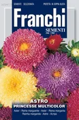 Aster Princess Mix (304-10)