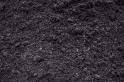 BLACK DYED MULCH