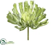 Silk Plants Direct Aeonium Pick - Green Flocked - Pack of 6
