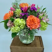 JULIA'S GARDEN BEAUTY $95/125/155