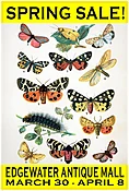 Postcard Special, QTY 1000