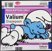 BEN FROST’S 2025 BICYCLE DAY WEEKEND TRIP SLEEPY SMURF