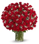 100 PREMIUM RED ROSES IN VASE