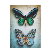 Antique Butterflies