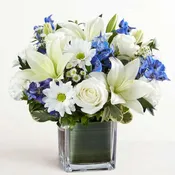 Healing Tears Blue & White