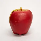 Apple Coin Purse