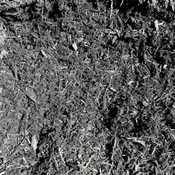 Black Mulch