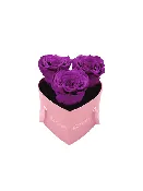 Heart Paper Box (3 Preserved Heads)