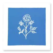 Bengal Botanical No. 5 on Blue