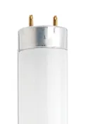 18 Watt T8 Cool White Fluorescent Lamp