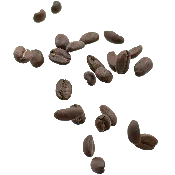 Decaf Brazil