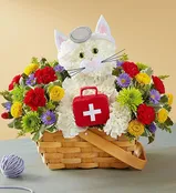 Cure-All Kitty 2022