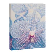Abstract Orchid Flower Canvas Print