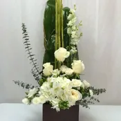 White Zen