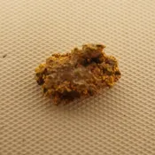 0.9 Gram Natural Gold Nugget Specimen- Free Shipping USA