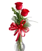 2 RED ROSES