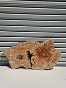 Olive Crosscut - 06112 — Cali Hardwoods & Supplies