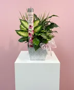 AMAZING GRACE PLANTER