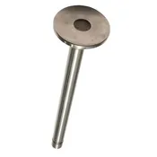 Exhaust Valve