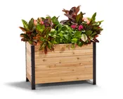 18" x 36" Cedar Planter Box – 24" Tall