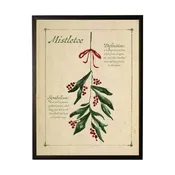 Antique Curiosities Inc Holiday Mistletoe with Definition Black Shadowbox