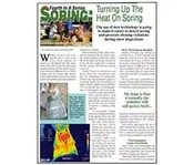 Soring (Part 4): Turning Up The Heat On Soring -- Download
