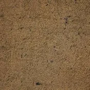 MASON SAND