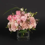 Blushing Blossoms