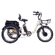 DWMeigi 750W Blazer Full Suspension Electric Bike