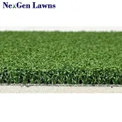 NGL Basic Trainer with 5mm Foam Pad