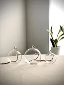 Hanging Clear Bubble — Studio B Floral