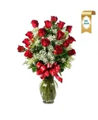 2 DOZEN RED ROSES