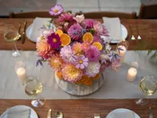 Signature Package — Urban Botanica