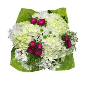 A Breeze of Love I am Sorry 15 stems
