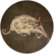 Armadillo 3 — Generation Art and Frame