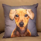 3D Ears Pillow