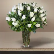 4 Dozen Roses (+colors)