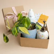Plant Lovers Gift Box