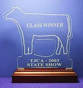 AC02 Heifer