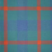 Agnew Tartan Scarf