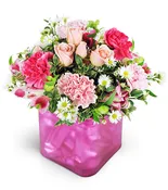 Sweet Sentiments