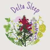 Delta Sleep | The Charis Collective