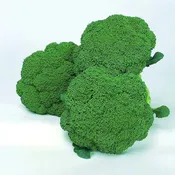 Broccoli, Green Comet