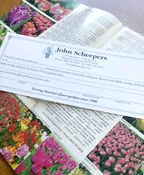 Gift Certificate
