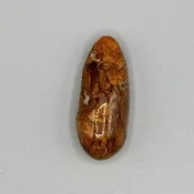 Amber Pin