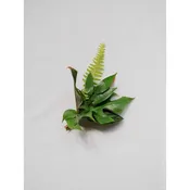 Green Monochrome A la Carte Corsage