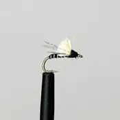 3$ Dip - Black Flash #16