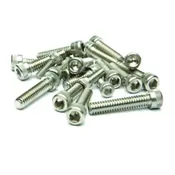 Case Screw Set, Stainless Allens