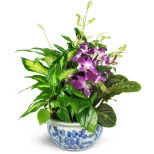 Sweet Memory Planter