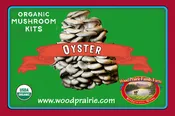 Mushroom Table-Top-Farm Kit. Organic Oyster.